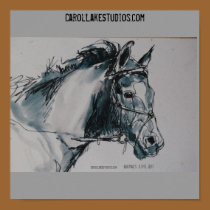 DSC_0462, Animals. Life. Art. , CarolLakeStudio... posters