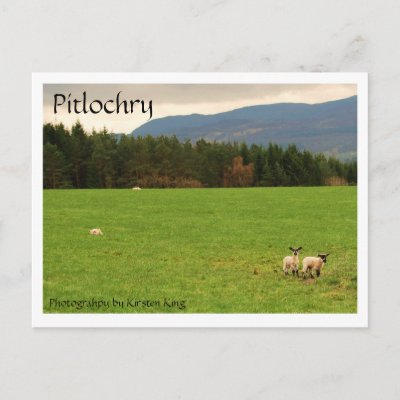 DSC_0522, Pitlochry, Photograhpy by Kirsten King Postcard