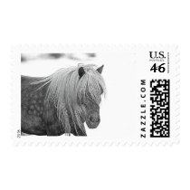 DSC_0551 POSTAGE STAMP