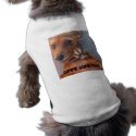 DSC_1359 pet clothing by RoyalDphotos DSC_1359 pet clothing