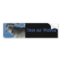 DSC_2009, Save our Wolves! bumper stickers by Animal_Anticipation DSC_2009, Save our Wolves! bumper stickers