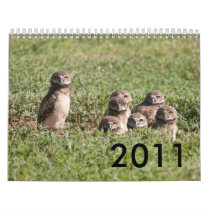 DSC_2816, 2011 WALL CALENDAR