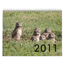 DSC_2816, 2011 WALL CALENDAR
