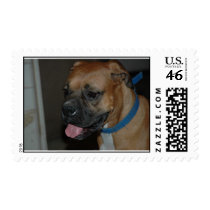 DSC_5719 postage