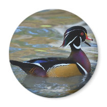 DSC_8937[1] REFRIGERATOR MAGNETS