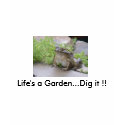 DSCF0022, Life's a Garden...So Dig it !! t-shirts by ladyfirebird93 DSCF0022, Life's a Garden...So Dig it !! t-shirts
