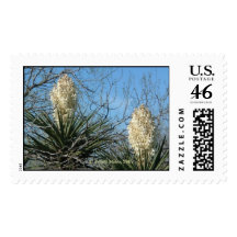 DSCF0025_tvCD,  Pearl Miles 2007 Postage Stamps