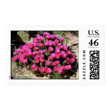 DSCF0044_tvCD,  Pearl Miles 2007 Stamps
