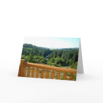 DSCF0096 cards