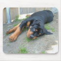 DSCF0140 mousepads by Jayaylward DSCF0140 mousepads