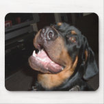 DSCF0313 MOUSE MAT