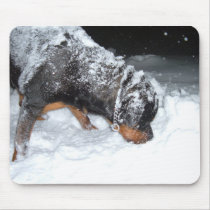 DSCF0448 mousepads by Jayaylward DSCF0448 mousepads