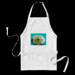 DSCF2010_edited-1 aprons