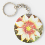 DSCI0497 KEY CHAINS