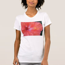DSCN0028 t-shirts