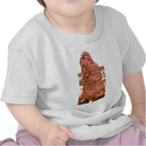 DSCN0167 SHIRTS