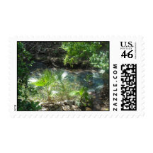 DSCN0298 POSTAGE STAMP