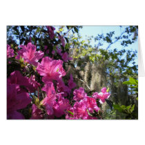 DSCN0310 cards by MJ0063 DSCN0310 cards