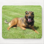 DSCN03475 mousepads