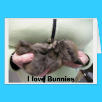 DSCN0356, I love Bunnies cards by sunsetrainbow DSCN0356, I love Bunnies cards