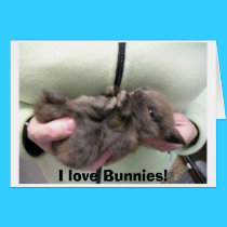 DSCN0356, I love Bunnies! cards by sunsetrainbow DSCN0356, I love Bunnies! cards