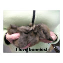 DSCN0356, I love bunnies! posters by sunsetrainbow DSCN0356, I love bunnies! posters