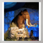 DSCN0436, Woolly Mammoth posters