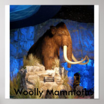 DSCN0436, Woolly Mammoth Poster