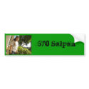DSCN0805, 670 Saipan bumper stickers