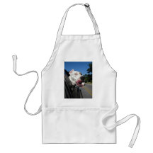 DSCN1477 APRON