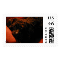 DSCN1941 postage