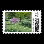 DSCN8304, John-Michael.net stamps