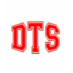 DTS Down To Snuggle Tshirts
