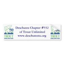 DTU - Bumper Sticker