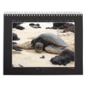 DU 2010 Photography Group Calendar