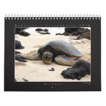 DU 2010 Photography Group Calendar by du_store DU 2010 Photography Group Calendar