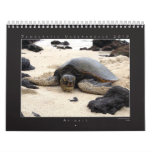 DU 2010 Photography Group Calendar