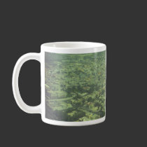 Dubai bird eye view mugs
