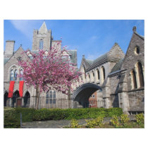 Dublin Cathedral Flyers