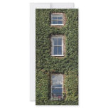Dublin Town House Ivy Bookmark Promotional Card rack cards