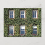 Dublin Town House Windows And Climbing Ivy