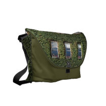 Dublin Town House Windows And Ivy Messenger Bag