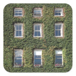 Dublin Town House Windows Climbing Ivy Gift Tag