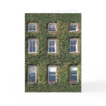 Dublin Town House Windows Climbing Ivy Greetings cards