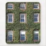 Dublin Town House Windows Climbing Ivy Mouse Mat
