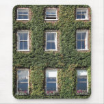 Dublin Town House Windows Climbing Ivy Mouse Mat Mousepad