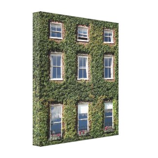Dublin Town House Windows & Ivy In 3D Canvas Print wrappedcanvas