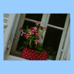 Dubrovnik WIndowsill posters