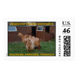 Duchess&amp;Princess&amp;Puregold, PEACLOND GOLDEN GUER... Postage