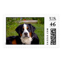 duchess special postage stamps